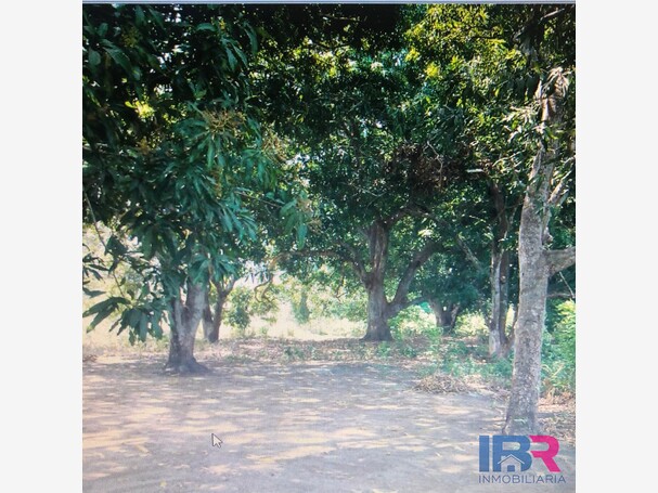 CASA FINCA EN VENTA EN ARJONA