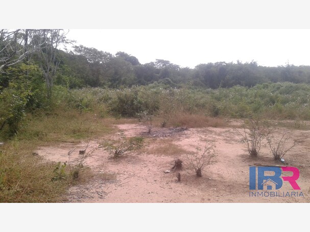 Lote en Venta en Turbana