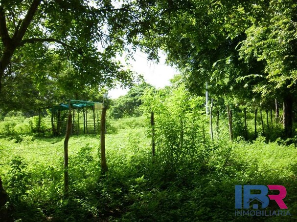 LOTE EN VENTA EN TIERRA BOMBA