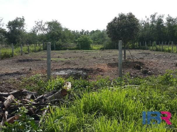 Lote en Venta en Manzanillo del Mar