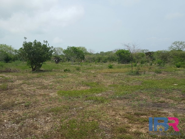 Lote en Venta en Manzanillo del Mar