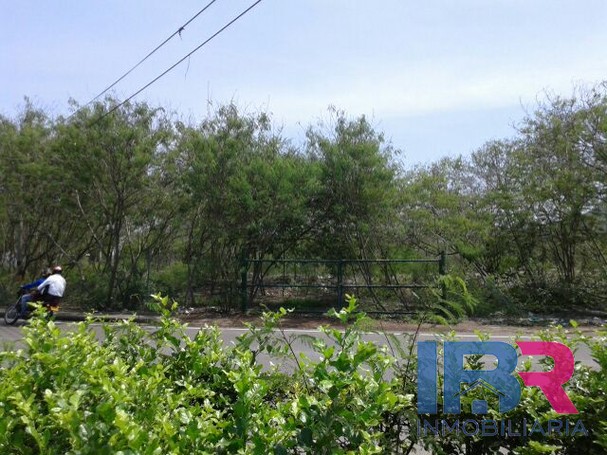 Lote en Venta en Manga