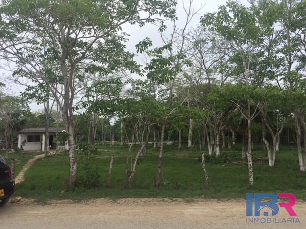 Lote en Venta en Manzanillo del Mar
