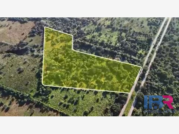 LOTE EN VENTA EN MAMONAL
