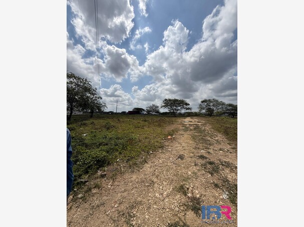 LOTE EN VENTA EN VARIANTE MAMONAL