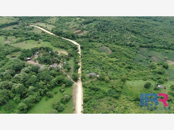 LOTES HECTARIAS EN VENTA EN MAMONAL